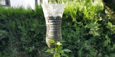 Pet Şişeyle Üretti, Hasat Üstüne Hasat Etti! Verim 2 Kat Arttı