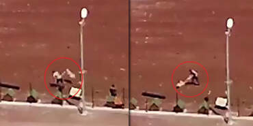 Vahşetin Adresi Bu Kez Kars… Barınakta Köpeklere Kan Donduran Şiddet