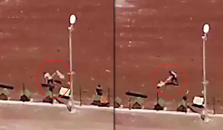 Vahşetin Adresi Bu Kez Kars… Barınakta Köpeklere Kan Donduran Şiddet