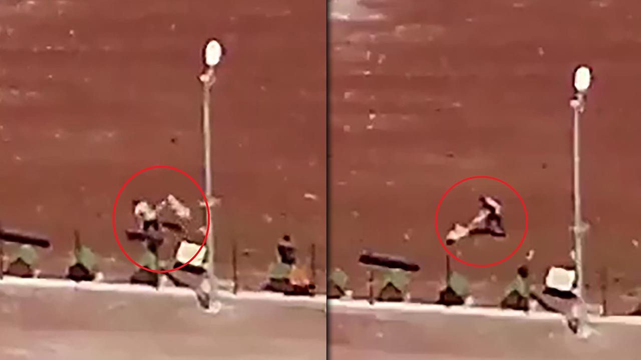 Vahşetin Adresi Bu Kez Kars… Barınakta Köpeklere Kan Donduran Şiddet