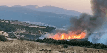 Susurluk’ta Orman Yangını