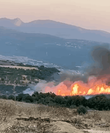 Susurluk’ta Orman Yangını