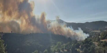 Susurluk’taki Orman Yangını 12 Saatte Söndürüldü