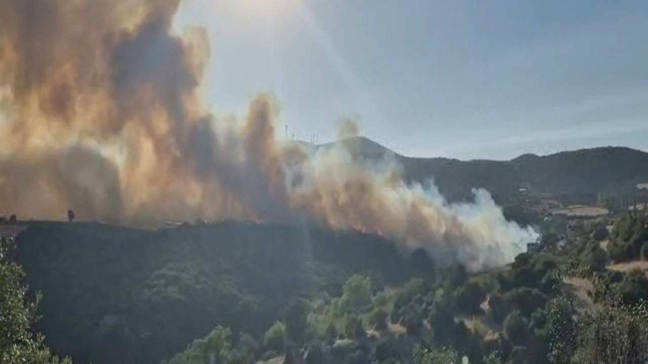 Susurluk’taki Orman Yangını 12 Saatte Söndürüldü