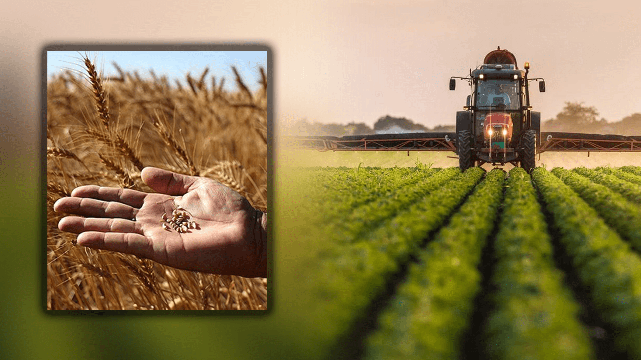 Tarımda Yeni Dönem! Tarlası Olan Herkesi İlgilendiriyor, Hasat Öncesi Sürpriz Düzenleme Yarın Başlıyor