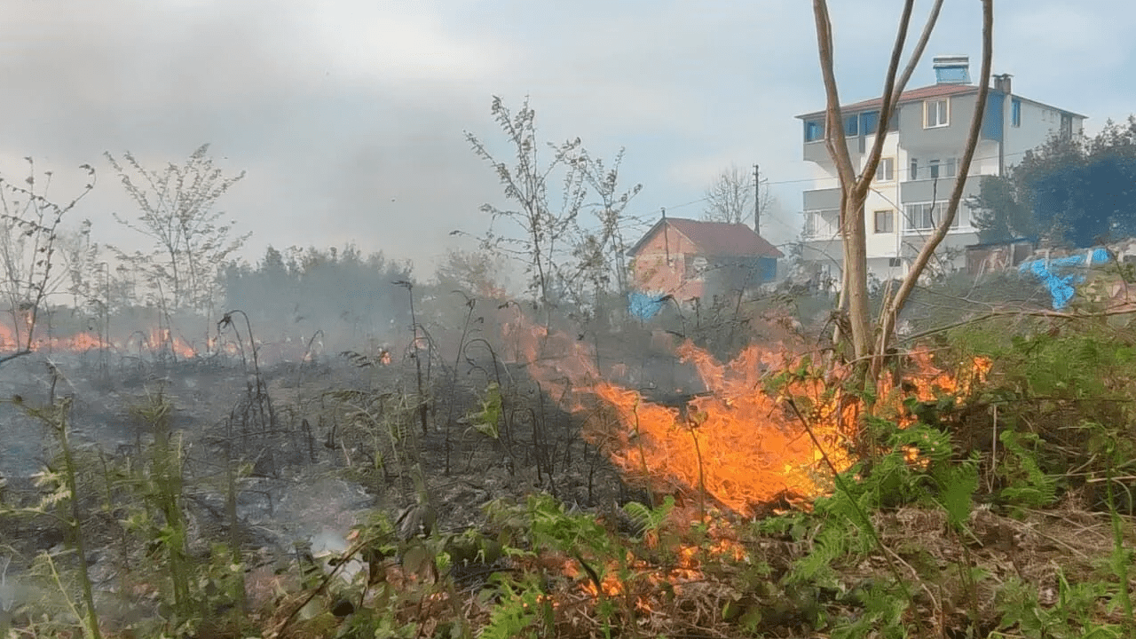Trabzon’da Çıkan Örtü Yangını Söndürüldü