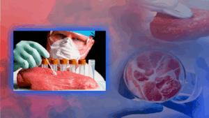 Türkiye’de ‘Yapay Et’ Dönemi mi Başlıyor? Gerçek Açığa Çıktı! Bakan Yumaklı İddialara Son Noktayı Koydu