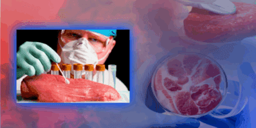 Türkiye’de ‘Yapay Et’ Dönemi mi Başlıyor? Gerçek Açığa Çıktı! Bakan Yumaklı İddialara Son Noktayı Koydu