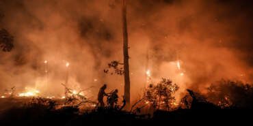 Türkiye’nin Yangın Bilançosu! Sadece Hafta Sonu 85 Yangın