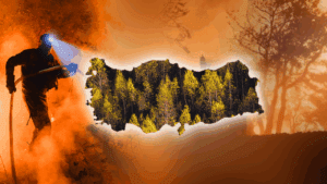 Türkiye’nin Yangın Haritası Değişti, Riskin En Düşük Olduğu Yer Artık Güvende Değil