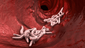 Vücuda Acısız Şekilde Nüfuz Ediyor, Gizli Gizli Kansere Götürüyor! Avrupa’da Görülmeye Başladı