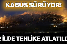 Yangın Kabusu Sürüyor! 2 İlde Tehlike Atlatıldı