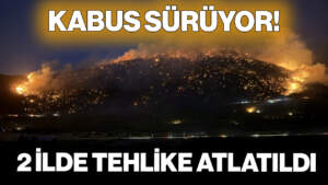 Yangın Kabusu Sürüyor! 2 İlde Tehlike Atlatıldı