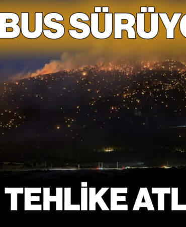 Yangın Kabusu Sürüyor! 2 İlde Tehlike Atlatıldı