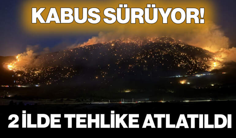 Yangın Kabusu Sürüyor! 2 İlde Tehlike Atlatıldı