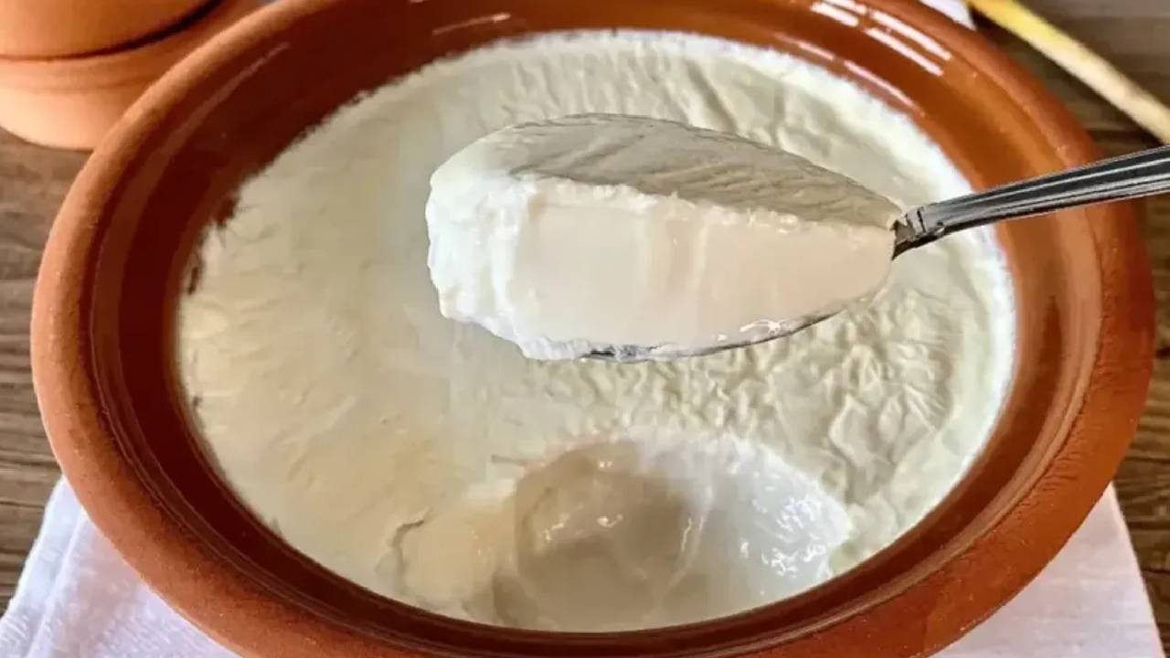Yunan Yoğurdu İle Türk Yoğurdu Arasındaki Fark Ne? İkisi de Yoğurt Ama Aynı Değil