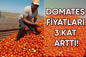 Geçen yıl tarlasını süren çiftçi bu yıl ekmedi! Sonucu ise üreticinin lehine oldu: Domates fiyatları üçe katlandı