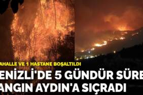 Denizli’de 5 gündür süren yangın Aydın’a sıçradı! 2 mahalle ve 1 hastane boşaltıldı