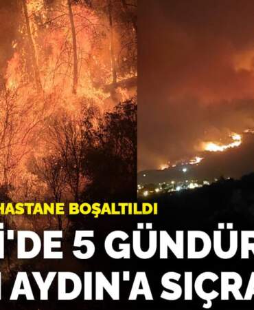 Denizli’de 5 gündür süren yangın Aydın’a sıçradı! 2 mahalle ve 1 hastane boşaltıldı