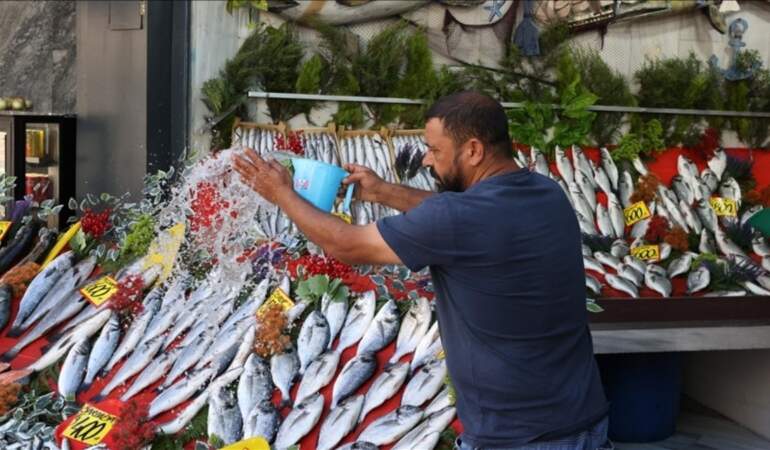 Av yasağı bitti, tezgahlar doldu taştı! Balık çeşidi de fiyat çeşidi de çok: Kilosu 300 liradan başlıyor