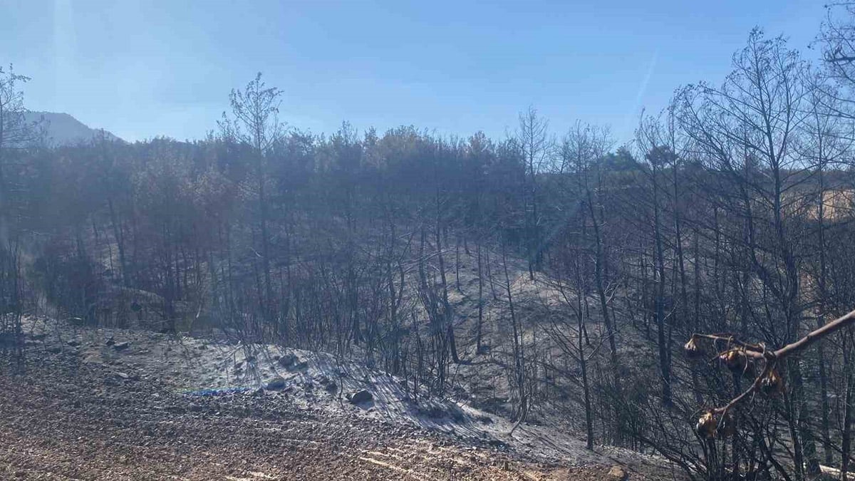 Denizli’de yangının 5. günü: Evini korumak isterken kalp krizi geçirdi