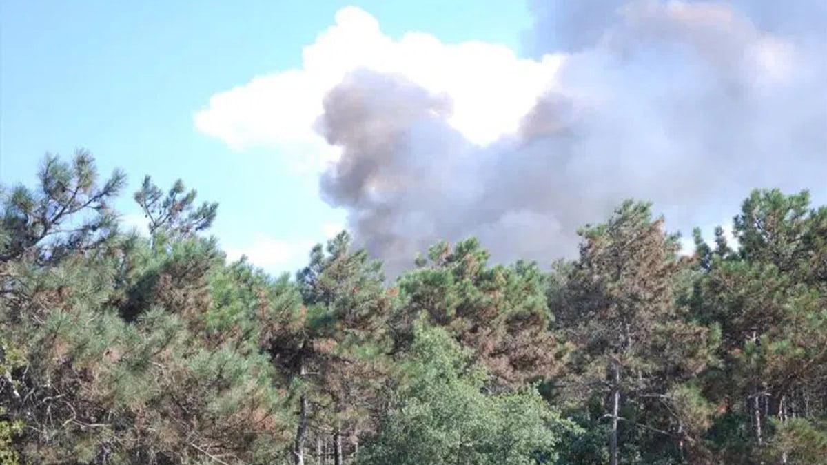 Ataşehir’de ormanlık alanda yangın