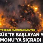 Karabük’te başlayan yangın Kastamonu’ya sıçradı! Köyler tahliye edildi, müdahale sürüyor