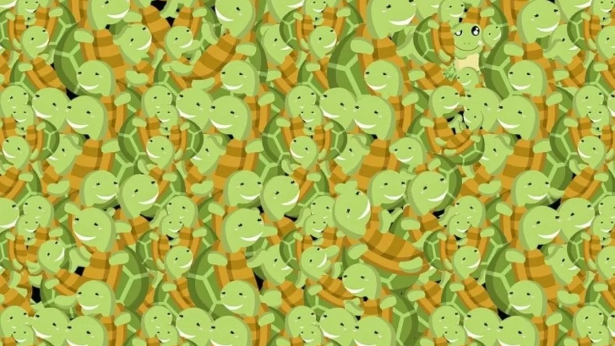 Zeka küpü testi: Sadece dâhilerin görebildiği kurbağayı bul! 7 saniyeniz başlıyor