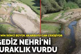 Ege’nin ikinci büyük akarsuyu can çekişiyor: ‘Gediz Nehri’ni kuraklık vurdu