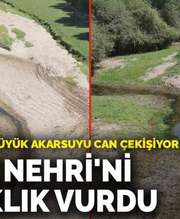 Ege’nin ikinci büyük akarsuyu can çekişiyor: ‘Gediz Nehri’ni kuraklık vurdu