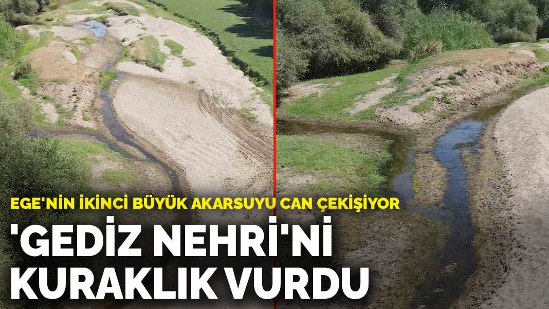 Ege’nin ikinci büyük akarsuyu can çekişiyor: ‘Gediz Nehri’ni kuraklık vurdu