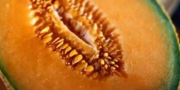 Herkes çöp diye atıyor, böyle tüketildiğini bilmiyor! Meğer süt gibi içiliyormuş