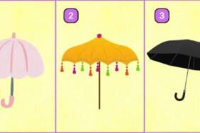Kişilik testi: Şemsiye seçiminiz rekabetçi mi yoksa işbirlikçi mi olduğunuzu ortaya koyuyor! Hemen öğrenin!