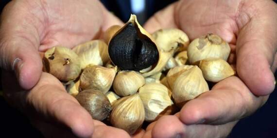 Sarımsağı siyaha dönüştürüyor, fiyatını katlıyorlar! Kilosu 25 liradan 95.000’e çıkıyor: Dünya sırada bekliyor