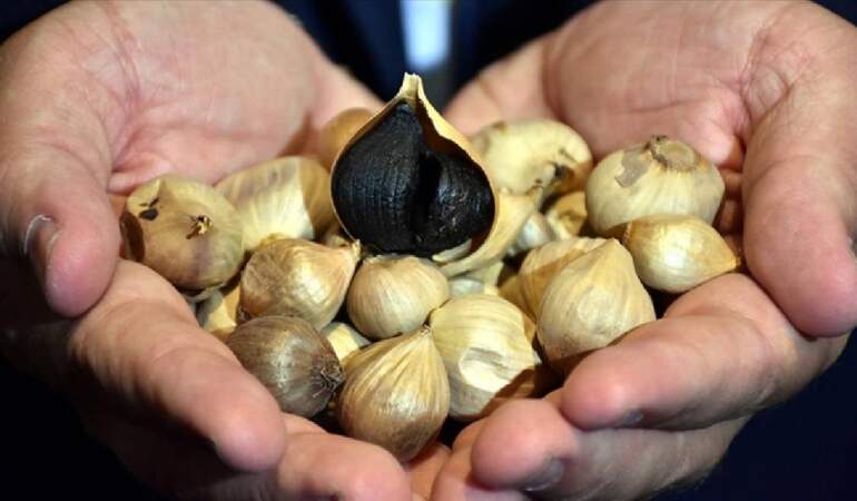 Sarımsağı siyaha dönüştürüyor, fiyatını katlıyorlar! Kilosu 25 liradan 95.000’e çıkıyor: Dünya sırada bekliyor