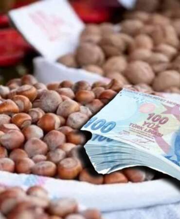 Rekolte düştü, fındık fiyatı uçuşa geçti: Üreticinin fındıkta yüzü güldü