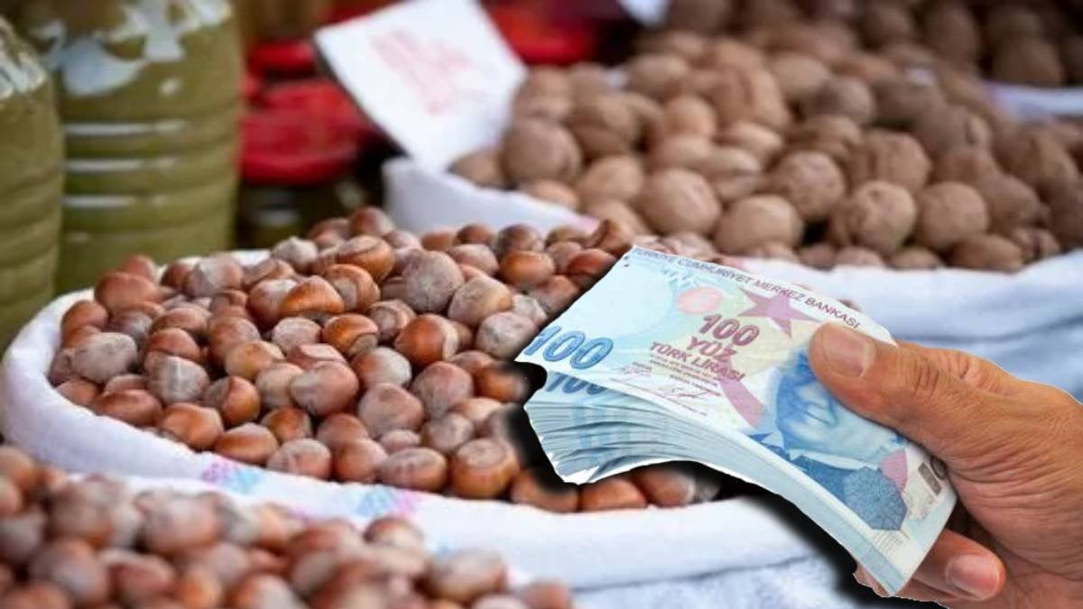 Rekolte düştü, fındık fiyatı uçuşa geçti: Üreticinin fındıkta yüzü güldü