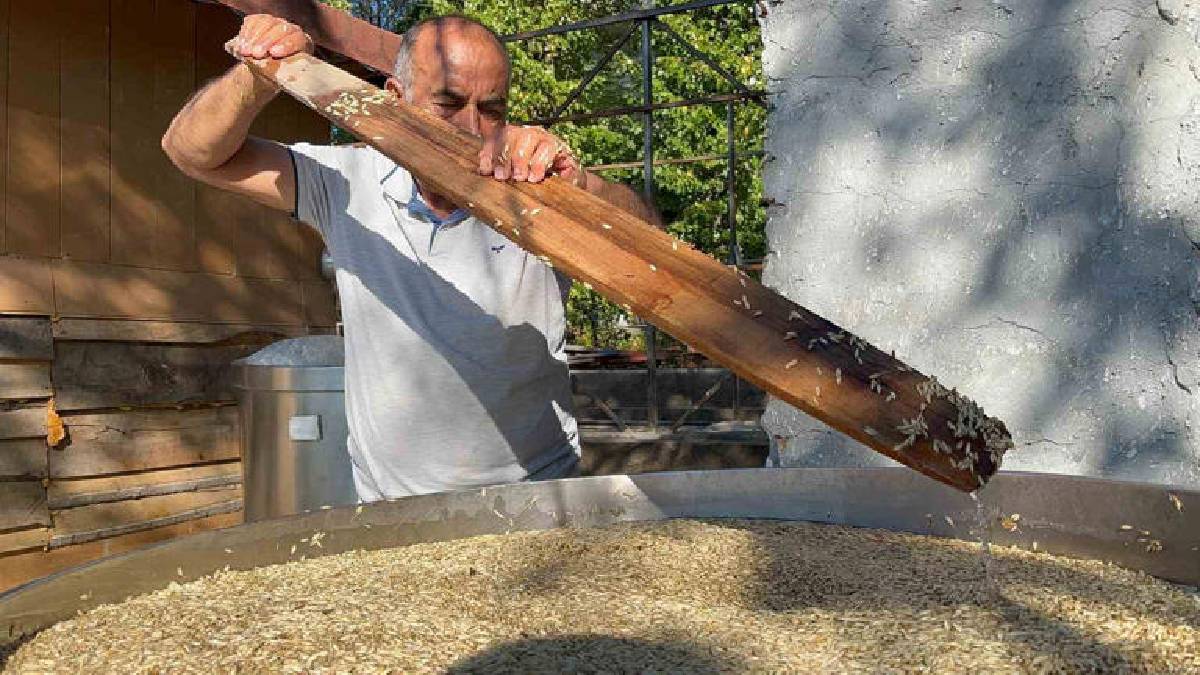 Atalarının izinden gidiyor, 12 bin yıllık geleneği yaşatıyorlar! Kastamonu’da bir dönüşüm hikayesi: Yoğun mesai sürüyor