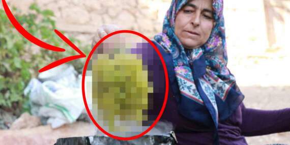 Torosların dik yamaçlarından sofralara yolculuk başladı! Bir köyün geçim kaynağı: Kilosu 100 TL’den satışta