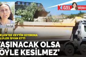 Akbelen’de zeytin kıyımına köylüler isyan etti: Taşınacak olsa böyle kesilmez