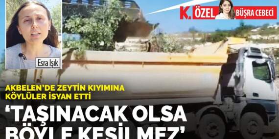 Akbelen’de zeytin kıyımına köylüler isyan etti: Taşınacak olsa böyle kesilmez