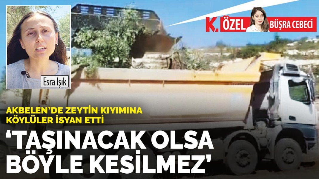 Akbelen’de zeytin kıyımına köylüler isyan etti: Taşınacak olsa böyle kesilmez