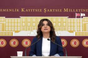 DEM Parti Grup Başkanvekili Koçyiğit: Komisyon’un bir an önce kritik yasaları gündemine alması gerekiyor