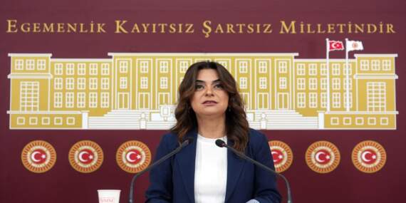 DEM Parti Grup Başkanvekili Koçyiğit: Komisyon’un bir an önce kritik yasaları gündemine alması gerekiyor