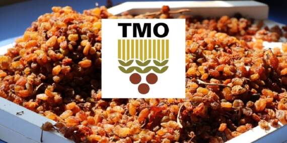 TMO 2025 fiyatlarını açıkladı: Çekirdeksiz kuru üzüm alım fiyatı belli oldu