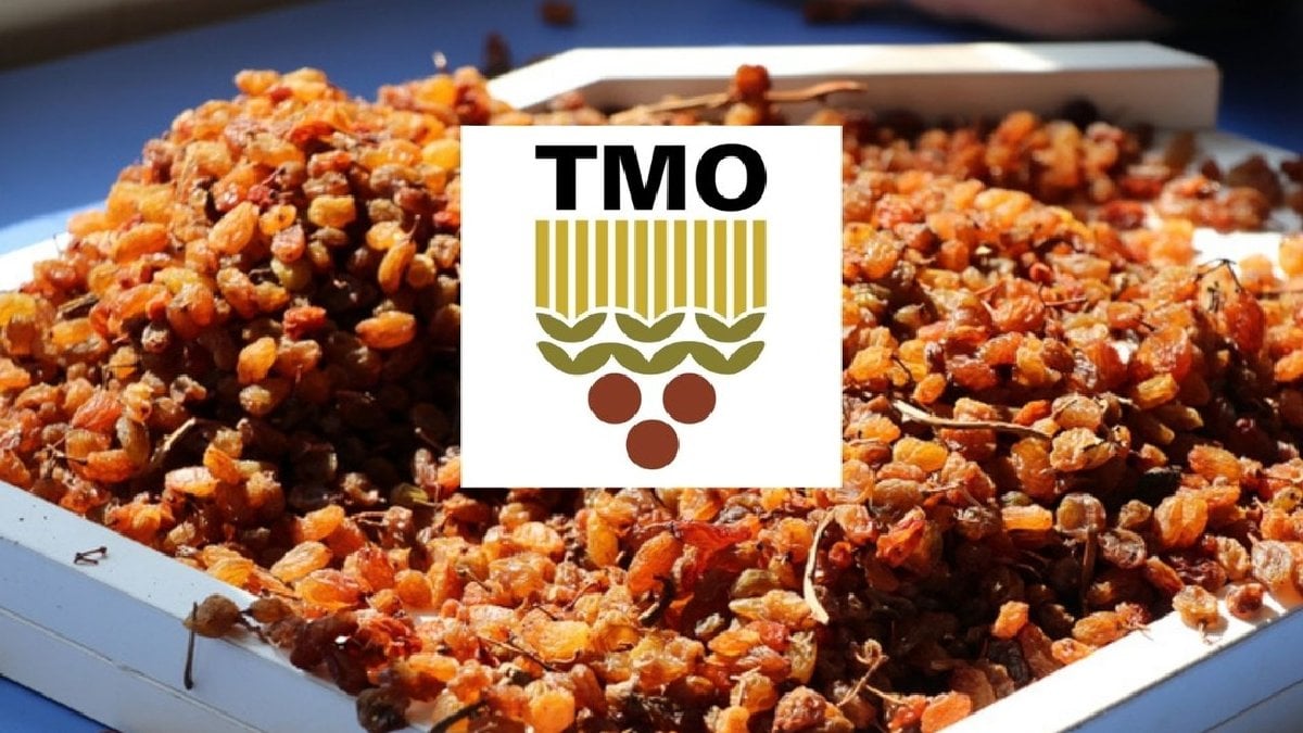 TMO 2025 fiyatlarını açıkladı: Çekirdeksiz kuru üzüm alım fiyatı belli oldu