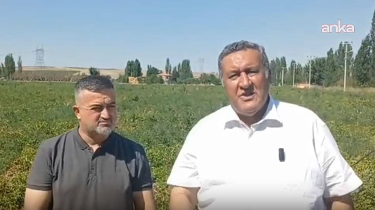 CHP’li Gürer’den 21. madde çağrısı: Milli gelirin yüzde biri çiftçilere verilsin