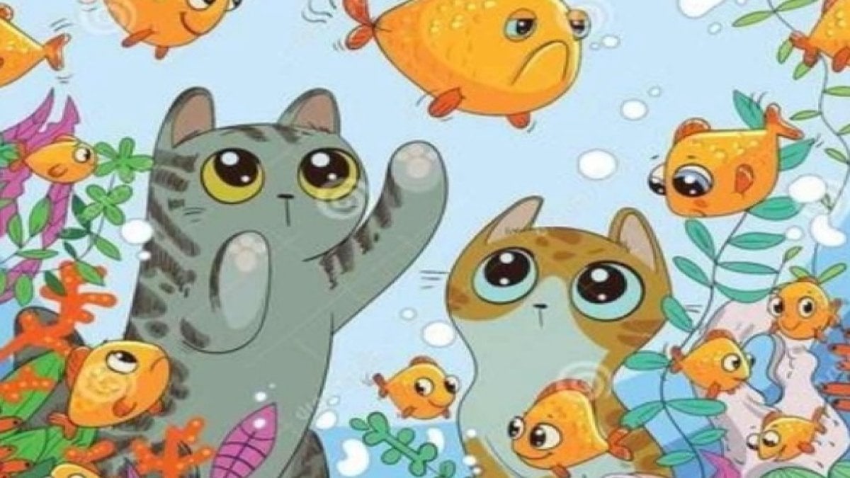 IQ’su 130’dan yüksek olanlar için çocuk oyuncağı: Resimdeki gizli fareyi 9 saniyede bulabilir misiniz?