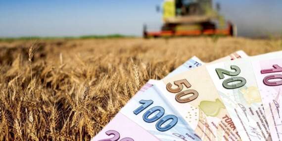 Çiftçiye destek ödemeleri hesaplara yatmaya başladı