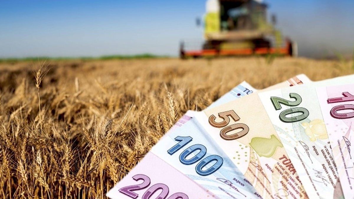 Çiftçiye destek ödemeleri hesaplara yatmaya başladı